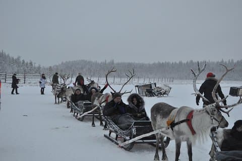 Group tour in Lapland
