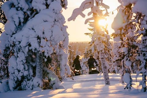 1-Hour Snowmobile Safari Experience