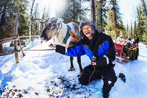 Snowmobile Safari to Reindeer and Husky Farms - Rovaniemi