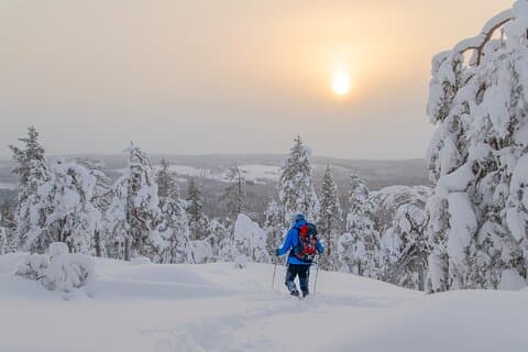4-Day Small-Group Snowshoe Trek from Rovaniemi