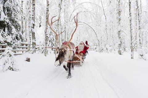 Reindeer Sleigh Ride and Farm Experience from Rovaniemi