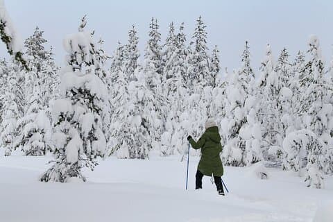Small-Group Snowshoeing Adventure In Lapland