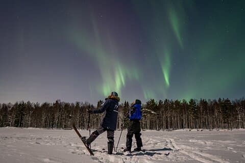 Ski Trekking by Night: Private Experience from Rovaniemi