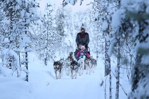 10 KM Self Driven Husky Sled Adventure in Rovaniemi