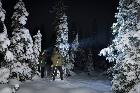 Evening Ski Trek to the Wilderness - Extra Small group
