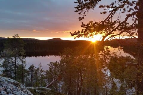 Walking in the Midnight Sun in Riisitunturi National Park