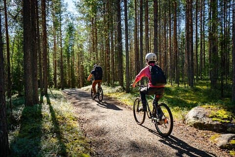 Bike Rental in Rovaniemi