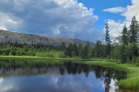 Private Hiking Tour in the Pristine Nature in Pyha Luosto