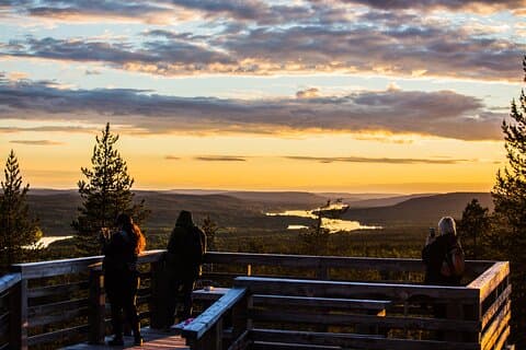 Rovaniemi: Insider Summer Bird Watching Experience