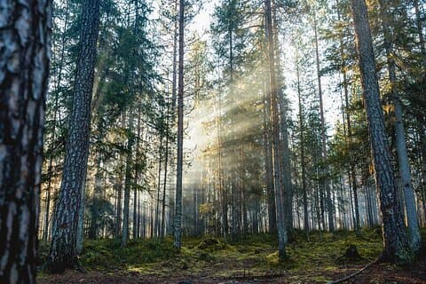 Arctic Family Nature Hike with Picnic (Summer & Autumn)