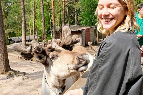 Private Reindeer Feeding & Kota Fire from Helsinki