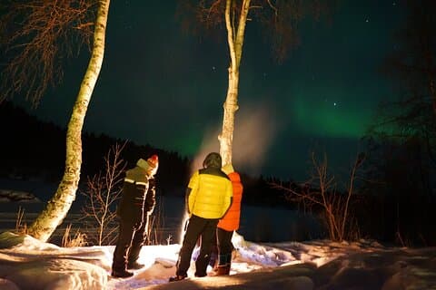 Smoked Salmon and Sauna Experience in Lappish Wilderness