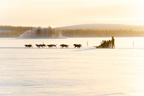 Rovaniemi Insider Husky Sleigh Ride Adventure on the Frozen Lake