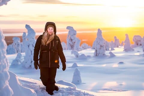 Riisitunturi National Park Car Tour from Rovaniemi