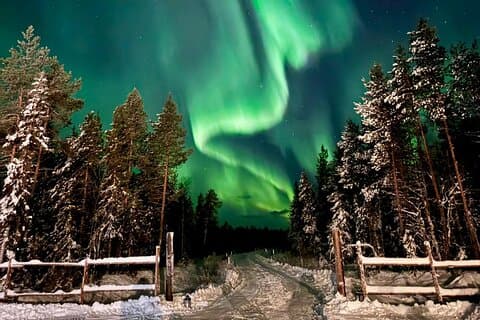 Private Aurora evening at Riverside Lodge