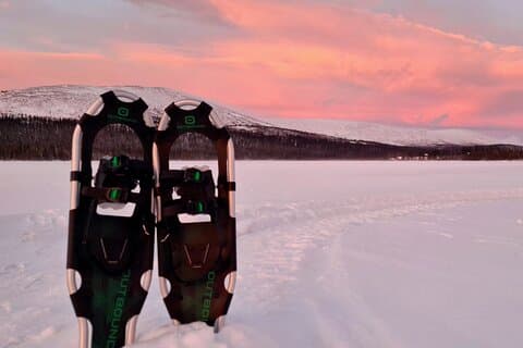 Reindeer Farm Visit and Snowshoe Adventure in wilderness Raattama