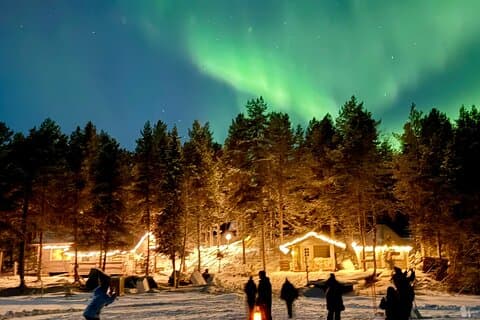 Northern Lights Adventure in the Wild with Campfire Treats