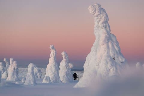 Riisitunturi Snow Monsters Winter Hike from Rovaniemi with Lunch