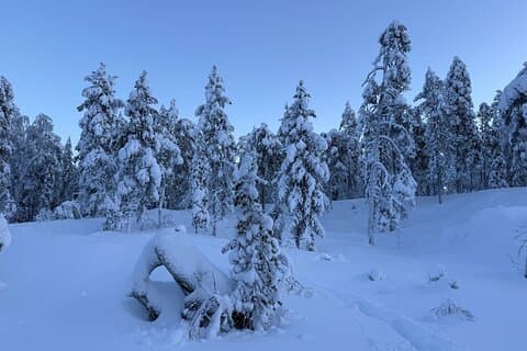 Private Snowshoeing Tour In Luosto With Outdoor Meal