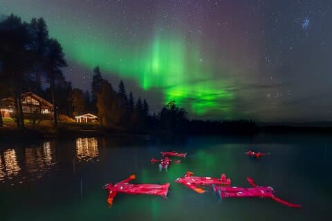 Ice Floating in Forest Lake with Aurora Borealis