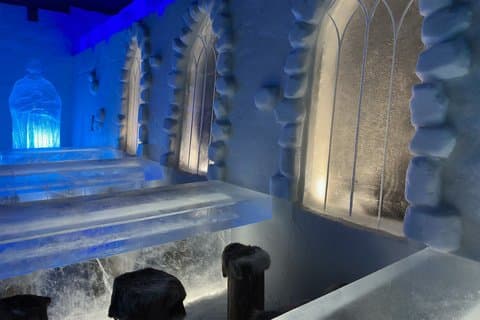 SnowExperience and Gemstone Exhibition Ticket