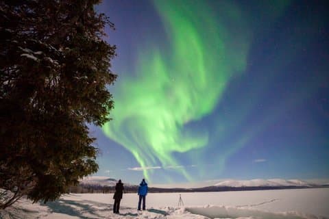 Private Evening Snowmobile Safari with Aurora Spotting