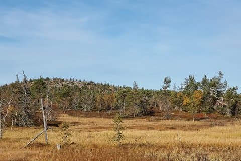 Day Hike in Salla National Park from Ruka-Kuusamo