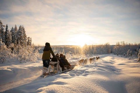 Reindeer and Huskies Sled Ride Combo with Professional Photos