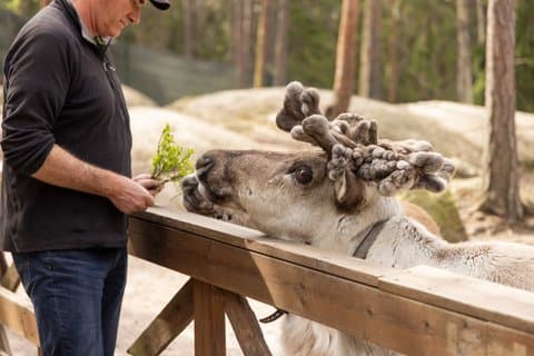PRIVATE SERVICE Ranua Zoo VIP pass****