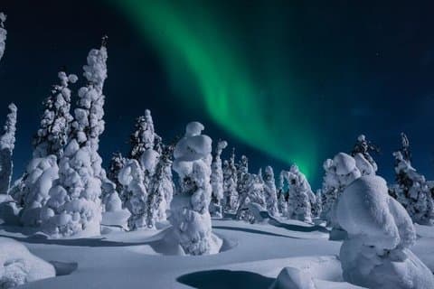 Levi to Rovaniemi Aurora Hunt Transfer