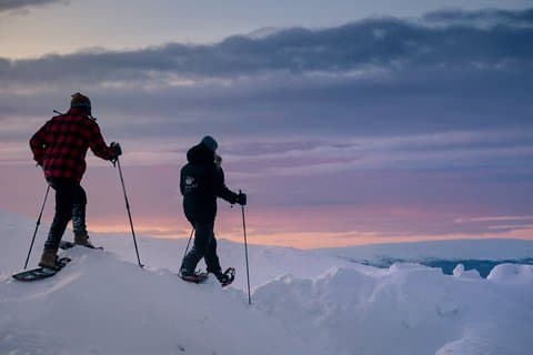 Rovaniemi Finland Tour with Transportation