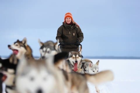 5KM Husky Sled Ride from Levi