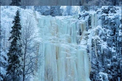 Rovaniemi Korouoma Frozen Waterfalls Tour and Barbecue Salmon