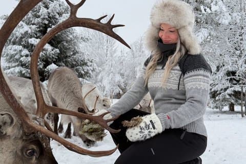 Private and Reindeer Farm Visit near Rovaniemi