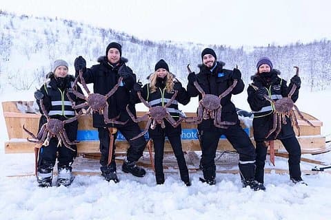 King Crab Experience to Norway from Saariselkä