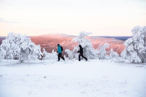 Small Group Snowshoeing Adventure in Levi