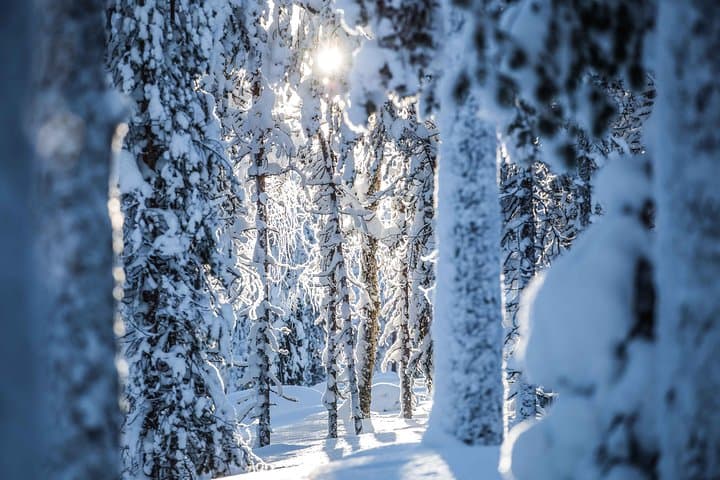 Views to wilderness