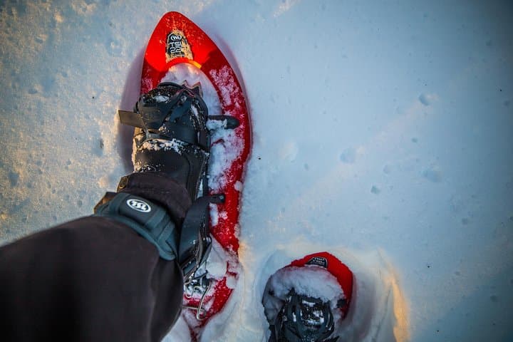 Snowshoeing in the forest