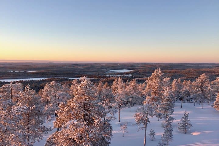 Stunning views of the Taiga forest