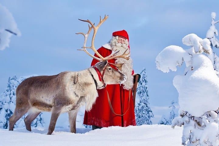 Santa Claus Reindeer
