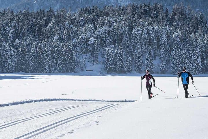 Cross Country Ski