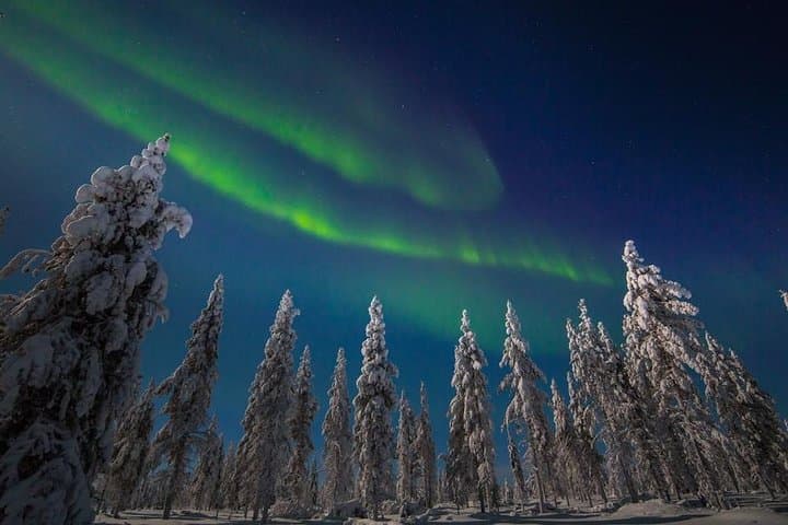 Northern lights Lappish forest