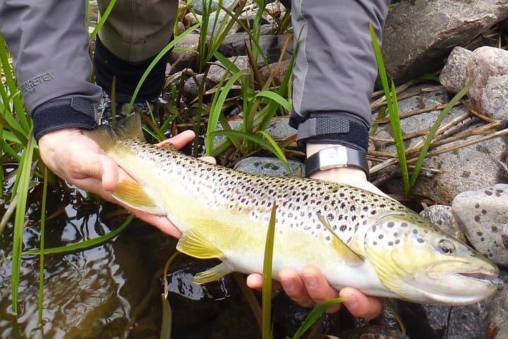 Arctic River Fishing Tour