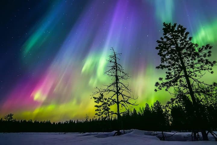 Private Arctic Forest Sauna, Jacuzzi with Northern Lights & BBQ