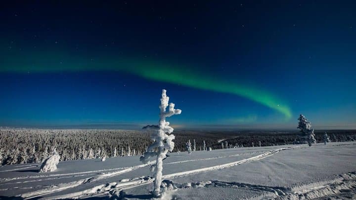 Hunting Northern Lights with Husky