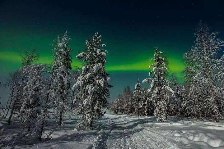 Hunting Northern Lights with Husky
