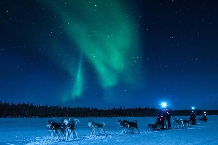 Hunting Northern Lights with Husky