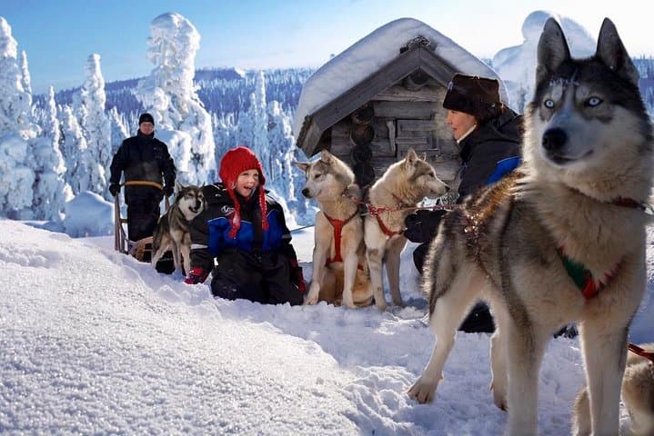 Arctic Circle Family Day