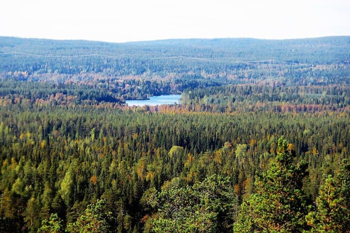 Auttiköngäs sightseeing tower