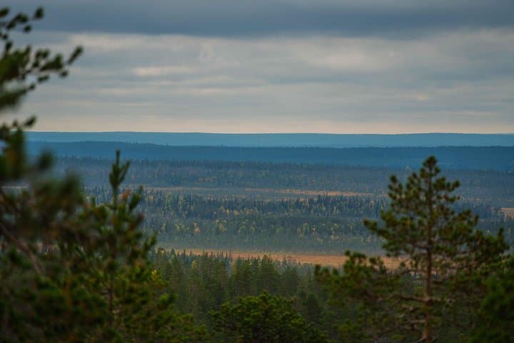 Arctic Family Nature Hike with Picnic (Summer & Autumn)